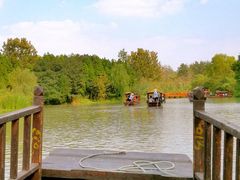 -溱湖国家湿地公园