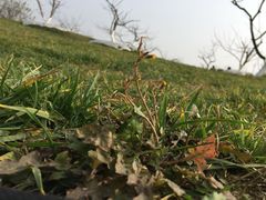 -白鹭湾湿地公园