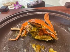 -大东海海鲜酒楼(渔人码头总店)