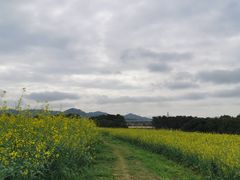-光明小镇欢乐田园