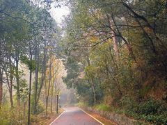 -三江森林温泉度假区