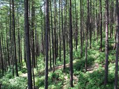 -驼梁风景区