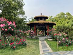 -东湖落雁景区
