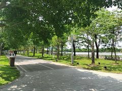-顺峰山公园