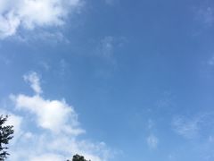 -秀丽东方