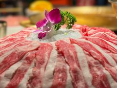 -小龙坎火锅(全球旗舰店)