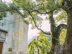 -上坦村
