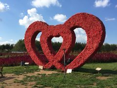 -北纬44度·金珠花海休闲农业旅游景区