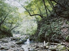 -本溪汤沟绿石谷森林公园