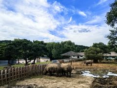 -沈阳森林动物园