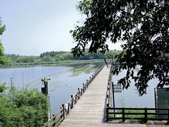 -溱湖国家湿地公园