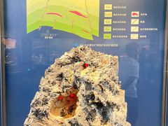 -贵州省地质博物馆