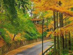 -莫干山风景区