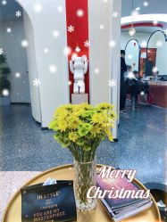 -IP SALON
