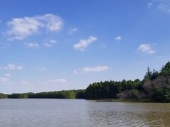 -上海海湾国家森林公园