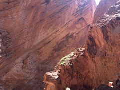 -天山神秘大峡谷