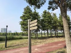 -春花秋色城市公园