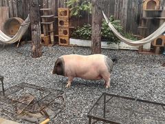 -小时光咖啡馆(开森度假森林店)