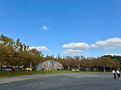 -上海海湾国家森林公园