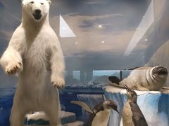 -国家自然博物馆