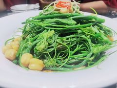 清炒南瓜尖儿-巴依老爷新疆美食(清华东门店)