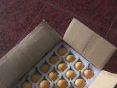 -AllorNothing横竖横咖啡(天虹店)