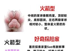-瑞鹏宠物医院·骨外科·心肾科·肿瘤科(九亭店)