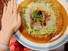五彩大拉皮-那家老院子东北菜·饺子·小鸡炖蘑菇(艳华街店)