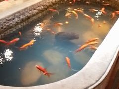 -黄家码头老火锅(解放碑旗舰店)