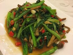 -鑫巴蜀小镇 · 水煮鱼专研店(玉桥店)