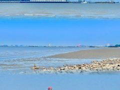 -上海吴淞炮台湾国家湿地公园