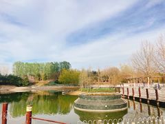 -大望京公园