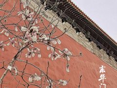 -东华门大街小区