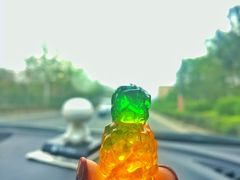 -美的鹭湖探索王国