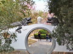 -桃花堤公园