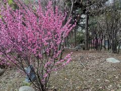 -太白山御龙湾温泉