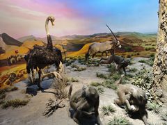 -国家自然博物馆