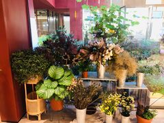 -二酉书店TOYOU BOOKS