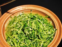 -纯阳•六两酒馆