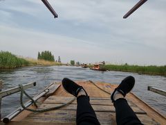 -白洋淀景区