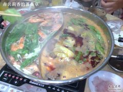 鸳鸯锅-活鱼馆(宜兴埠店)