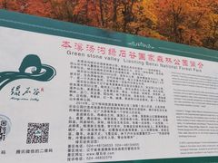-本溪汤沟绿石谷森林公园