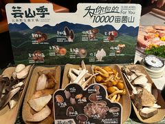 -芸山季·云南野生菌火锅(人民广场来福士店)