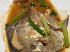 家烧鲳鱼-荣轩(新荣记环球金融中心店)