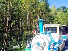 -五营红松林海景区