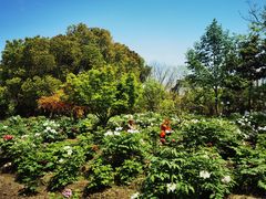 -江南大学(蠡湖校区)