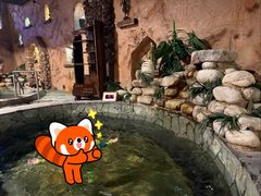 -泉城欧乐堡戏水湾艺术养生温泉