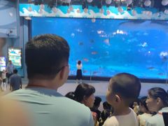 -烟台海昌鲸鲨海洋公园