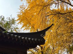 -郑和公园