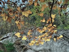 -秦岭终南山世界地质公园翠华山景区